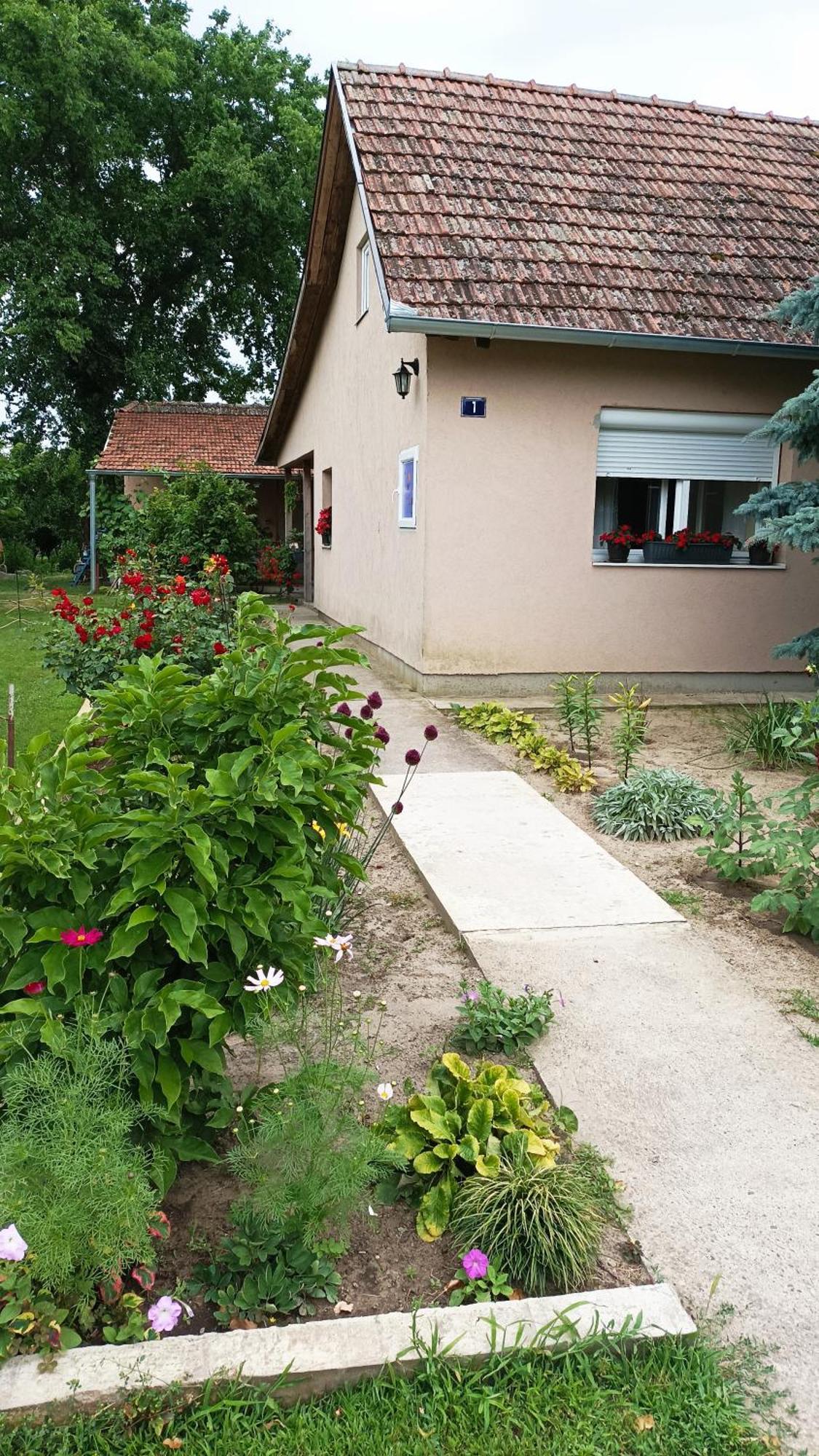 Sobe Masa Guest House ซูโบติกา ภายนอก รูปภาพ